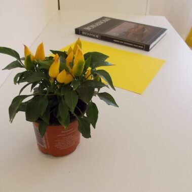 bad and breackfast lecco